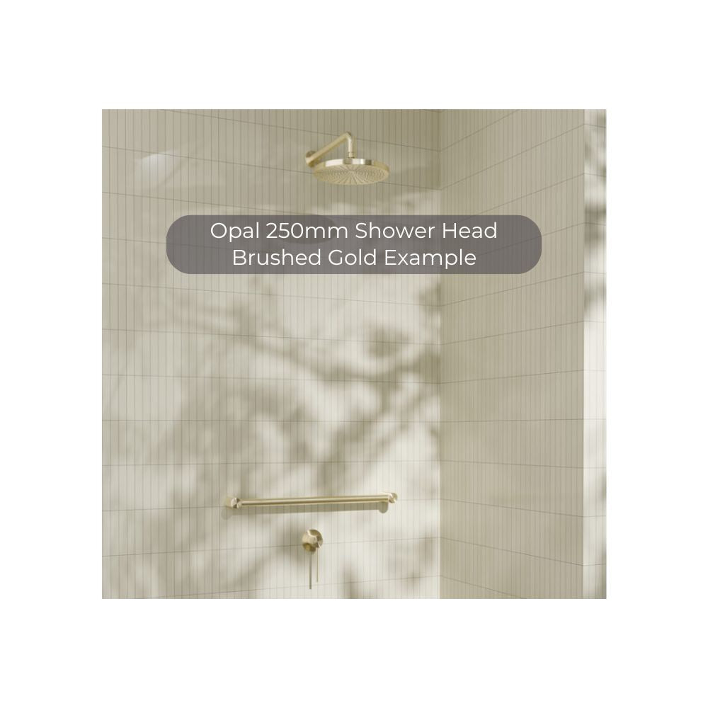 Opal 250mm Shower Head Brushed Nickel - NR508079BN