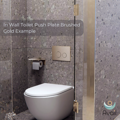 Ambulant and Standard In Wall Toilet Flush Button Plate Brushed Bronze - NRPL001BZ