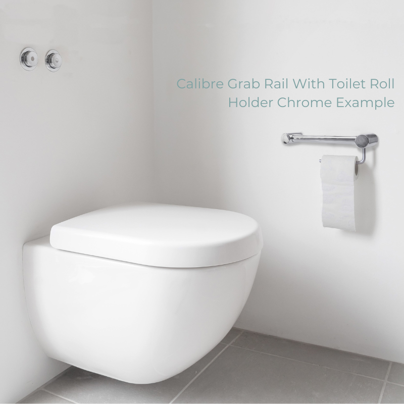 Stocktake Calibre Terra 32mm Grab Rail with Toilet Roll Holder 450 Polished Stainless Chrome - R01H40C