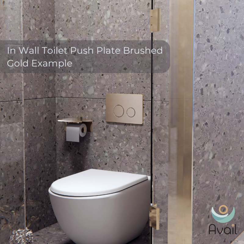 In Wall Toilet Push Plate Brushed Gold - NRPL001BG