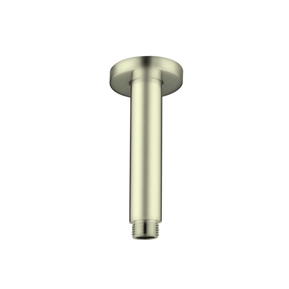 Round Ceiling Arm 100mm Length Brushed Gold - NR503100BG