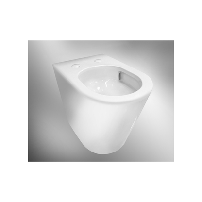 Toilet Pan Robust Wall Faced 580mm -  LT-1003D-R/RB