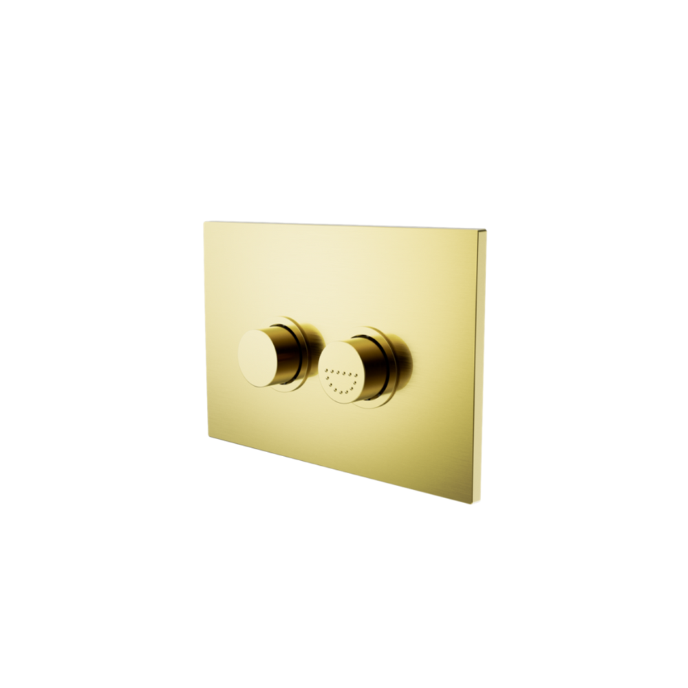 Toilet Raised Flush Button Panel AS1428.1 DDA Accessible Pneumatic for G30035 Cistern Brushed Gold - NRCRPL002BG